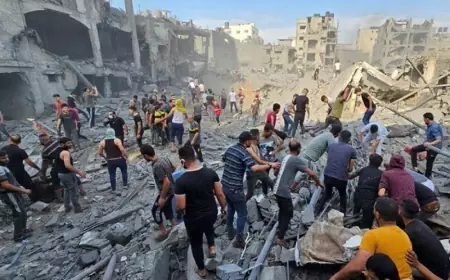 أكثر من 15 ألف شهيداً منذ بدء العدوان على غزة