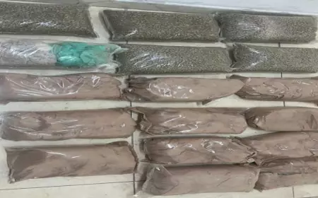 احباط تهريب 47 كغم من مادة الكوكايين المخدرة