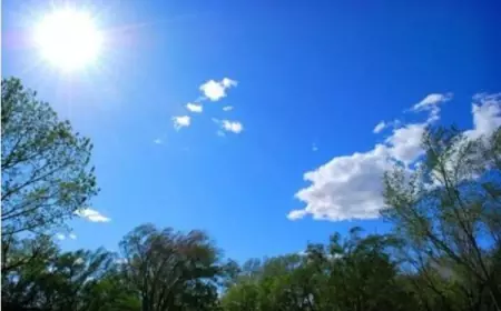 أمطار مساء الثلاثاء