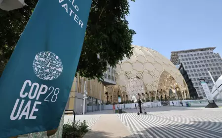 إقبال كبير على جناح فلسطين في "كوب 28 للمناخ"