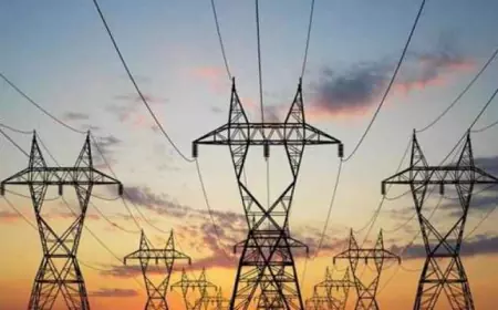 مناقشة تفاصيل تجديد عقد تبادل الطاقة الكهربائية لعام 2025 بين الأردن ومصر