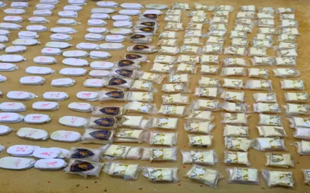 القوات المسلحة: إحباط محاولة تسلل ومقتل 3 مهربين