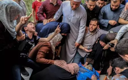 عدوان اسرائيلي متواصل.. وشهداء في غزة ورفح