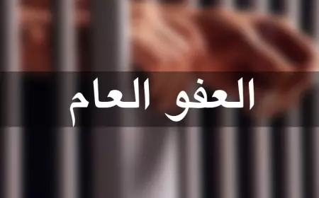 "قانونية النواب": لم تصلنا أي مذكرة بشأن العفو العام