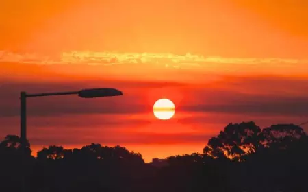 موجة حارة تجتاح سيدني