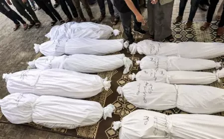 أكثر من 18 ألف شهيد جراء العدوان الإسرائيلي على غزة