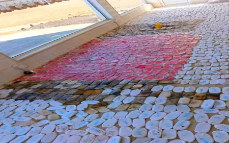 القوات المسلحة: إحباط تهريب كميات كبيرة من المخدرات