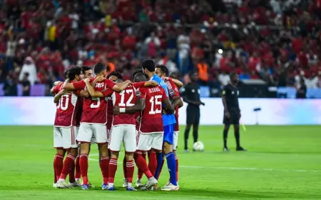 الأهلي ينشد بلوغ النهائي على حساب فلومينينسي