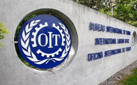 اطلاق تدريباً متخصصاً حول المشاريع الخضراء