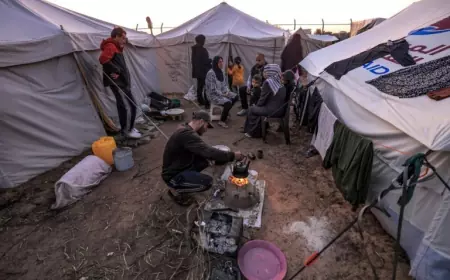 %98  من سكان قطاع غزة يعانون من عدم كفاية استهلاك الغذاء