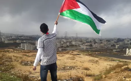 لرفعه علم فلسطين.. مصري يتعرض للضرب بمركز للتزلج