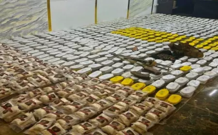 القوات المسلحة تضبط أكثر من 60 مليون حبة كبتاغون خلال عامين