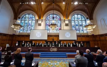 الصفدي: الأردن أولوياته واضحة لنصرة الأهل في فلسطين