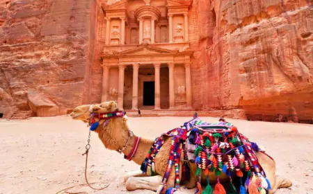 تأجيل قروض شركات متعثرة في القطاع السياحي لـ 6 أشهر