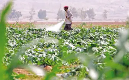 تعديلات هامة من "الإقراض الزراعي"