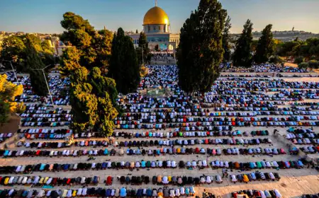 12 ألف مصل أدوا صلاة الجمعة في رحاب المسجد الأقصى