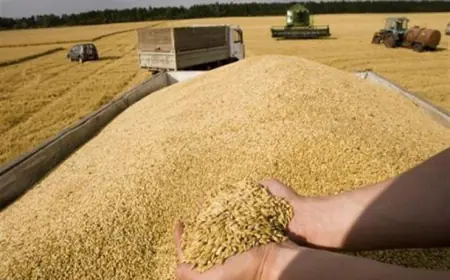 خبراء: أزمة غذاء متوقعة في 2024