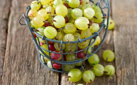 10 أسباب لتناول "عنب الثعلب الهندي"