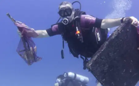 حملة لتنظيف جوف البحر في العقبة