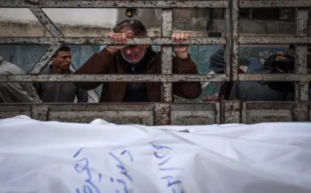 حصيلة شهداء 2023.. الاكبر في فلسطين منذ النكبة