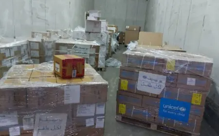 بدء دخول مطاعيم الأطفال الروتينية إلى غزة