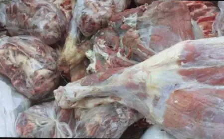 اتلاف 100 كغم من اللحوم الفاسدة في ملحمتين