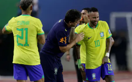 البرازيل تبحث عن مدرب جديد