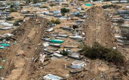 قوات الاحتلال تنبش القبور وتسرق 150 جثمانا