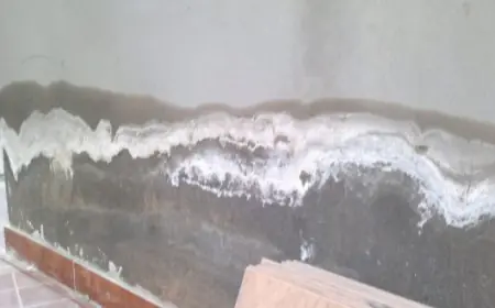 طرق التخلص من رطوبة المنازل