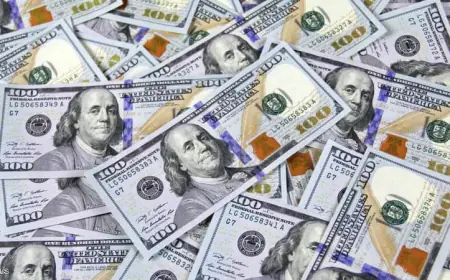 استقرار الدولار