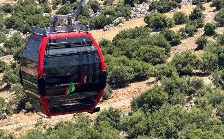 270 ألف زائر لتلفريك عجلون حتى نهاية 2023