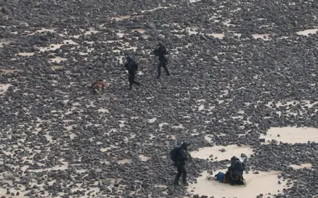 القوات المسلحة: القبض على 7 مهربين بالقرب من المواقع الحدودية - صور