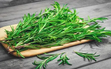 إكليل الجبل ..  فوائده العلاجية والجمالية