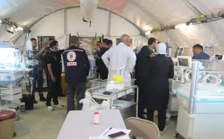 إحصائية لجهود المستشفيات الميدانية الأردنية في فلسطين