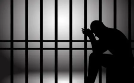 حبس شخص 7 أشهر .. اصطاد حيوانات نادرة