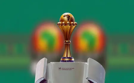 180 دولة ستبث بطولة كأس أمم أفريقيا