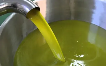 5 فوائد لزيت الزيتون البكر