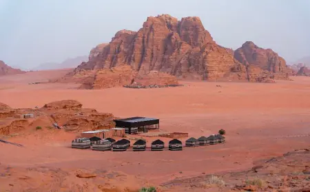 غالبية العمالة تتوزع في العاصمة