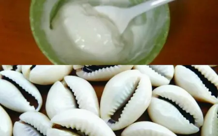 فوائد الودع للبشرة (تفاصيل)