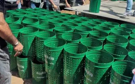 حماية البيئة: تحويل 285 قضية إلى النائب العام