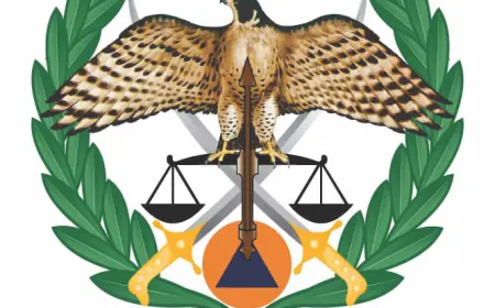 القبض على متورطين بعمليات احتيال (التفاصيل)