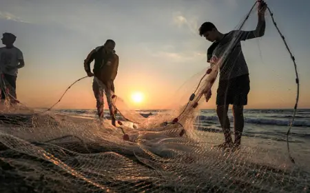 إسرائيل دمرت نحو 70بالمئة من الصيد في غزة