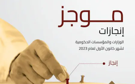 تعرفوا على موجز إنجازات المؤسسات الحكومية في شهر