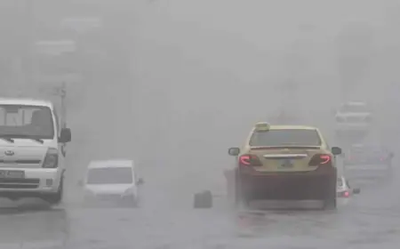 منخفض قُطبي يزور المملكة في هذا الموعد