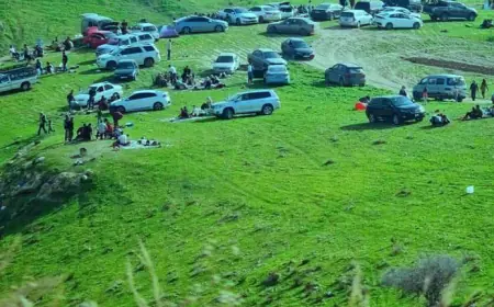 انقلاب مركبة على طريق أم النمل