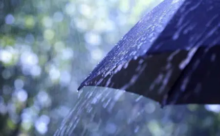 معالجة 4 نقاط تجمع مياه أمطار بالطفيلة