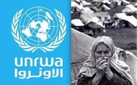 "الشؤون الفلسطينية" و"الأونروا" تلتقيان لجان خدمات المخيمات