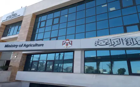 بدء عملية التحريج المستدام بمحافظات المملكة