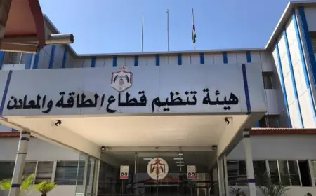 "هيئة الطاقة" تتلقى 823 طلبا للحصول على تراخيص الشهر الماضي