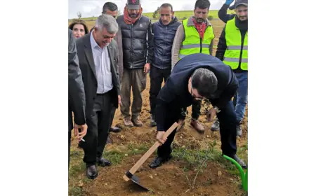الحنيفات يرعى فعالية زراعة الأشجار في الجامعة الأمريكية في مادبا